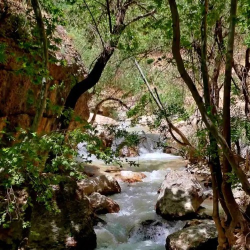 تنگ گمبیل فارس