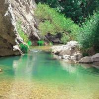 تنگ اردشیری