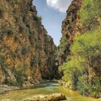 تنگ اردشیری