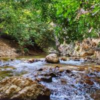 تنگ گردو کنگک